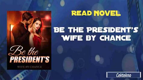 be the president's wife by chance novel